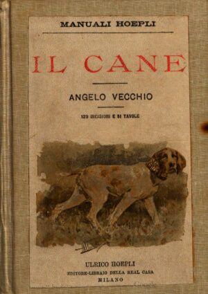 il cane di Angelo Vecchio