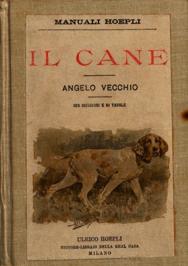 il cane di Angelo Vecchio