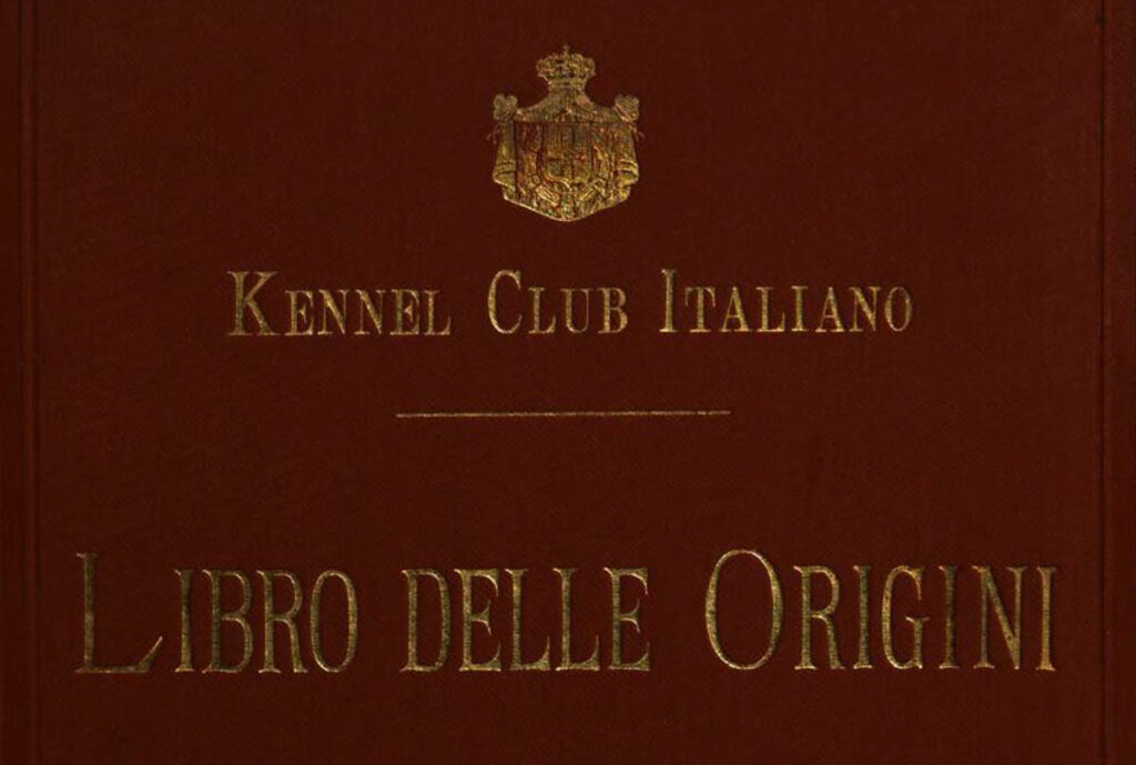 libri delle origini